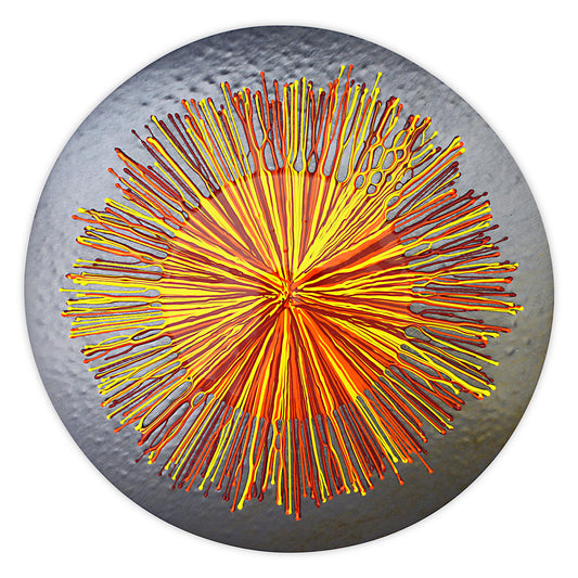 Lesley Clumeck RADIANCE - “Strung Out" Series Kilnfired, Glass, Wall Sculpture 18” x 18” x .875"