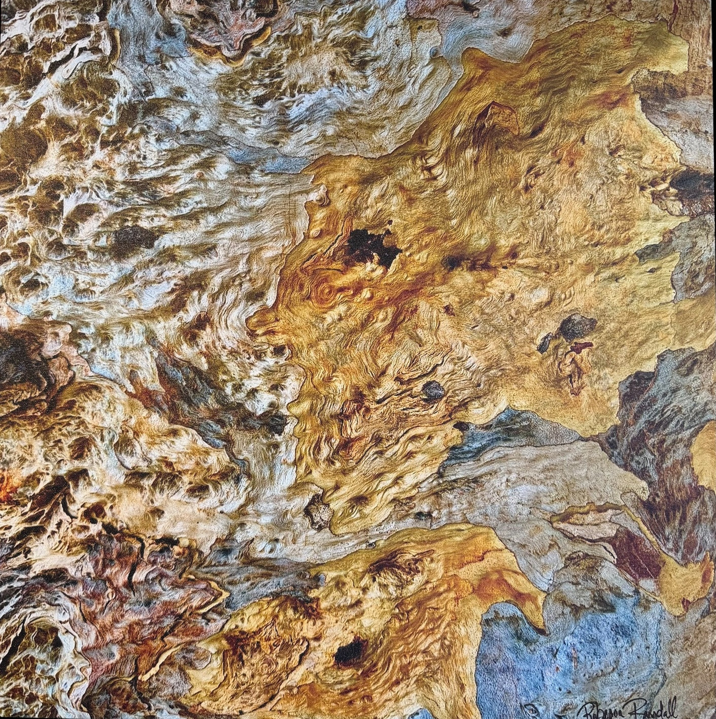 Rebecca Randall LAGUNA DIAMOND 1 Photography 25X25 Inches.
