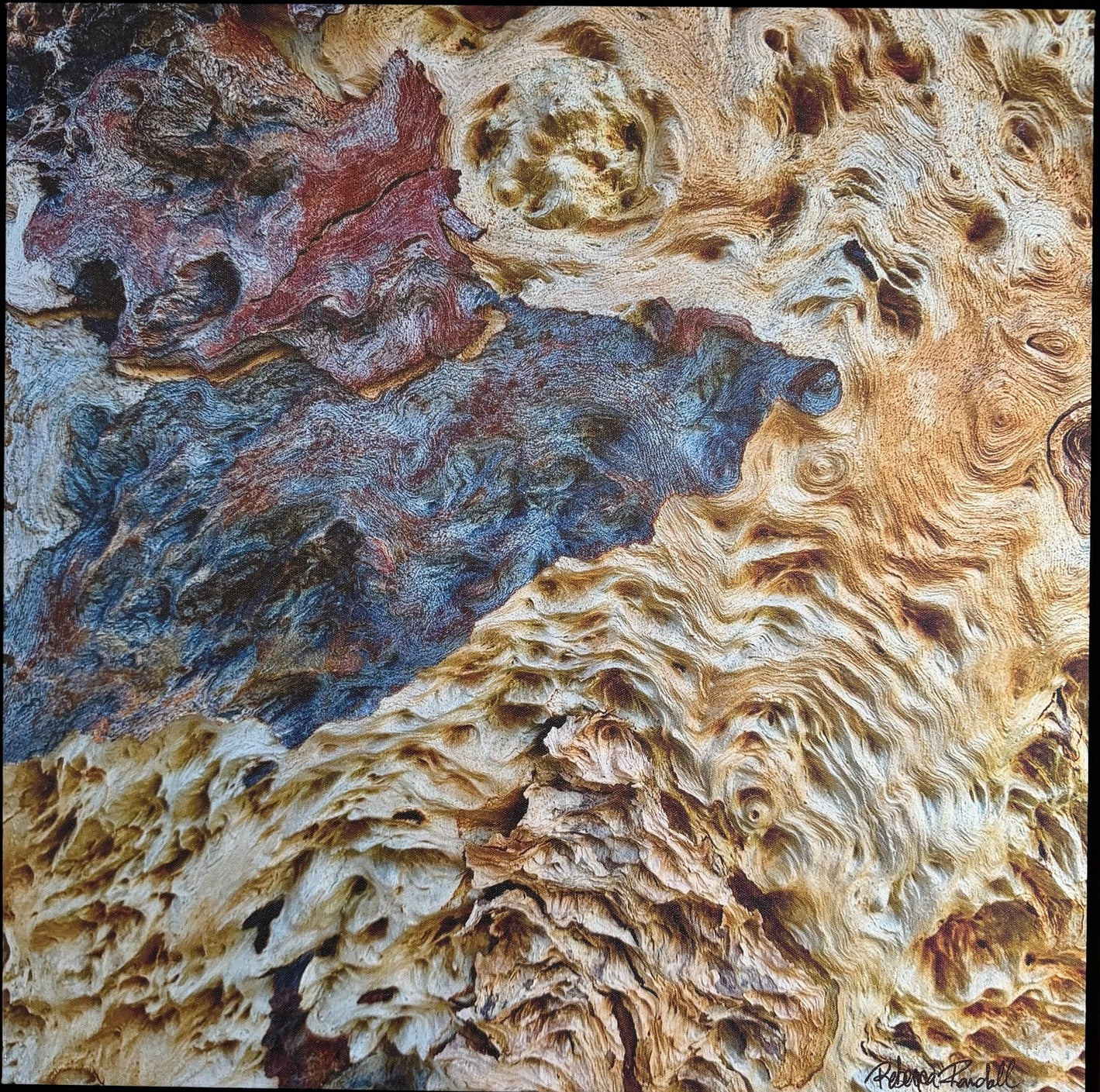 Rebecca Randall LAGUNA DIAMOND 2 Photography 25X25 Inches.