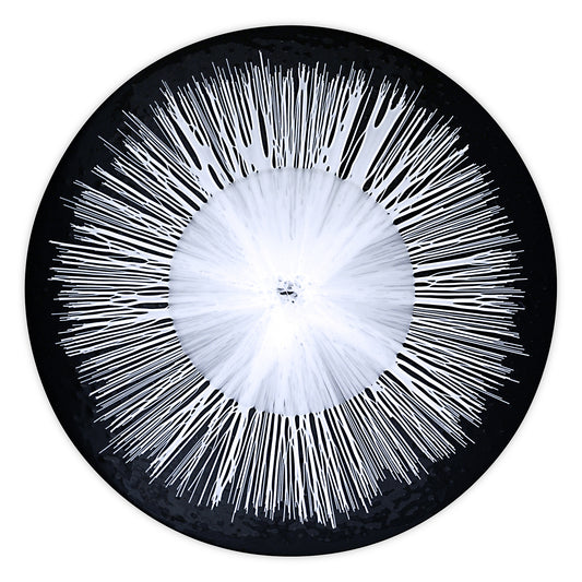 Lesley Clumeck REVOLVE - “Strung Out" Series Kilnfired, Glass, Wall Sculpture 18” x 18” x .875"