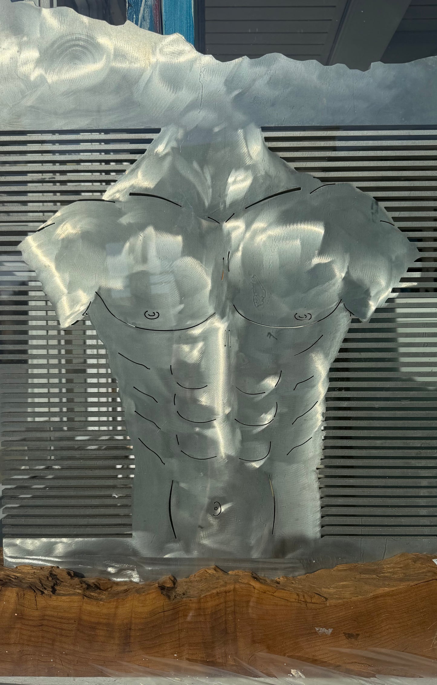 Ron Taybi MALE TORSO Aluminum 23X34 INCHES.