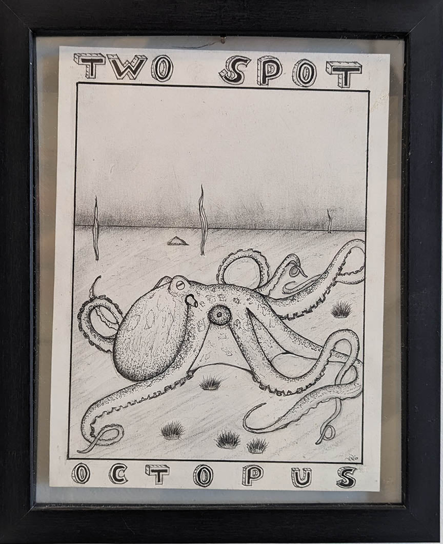 Spencer Wile TWO SPOT OCTOPUS Charcoal on Bristol Vellum 9X11 inches.