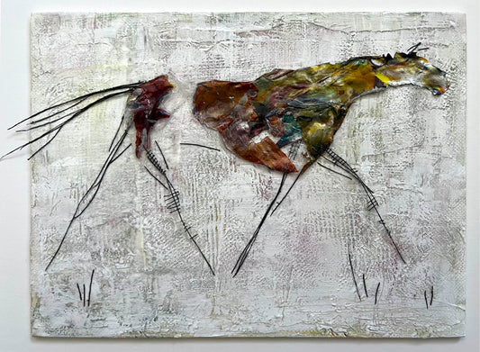 Jennifer Miller For Lola