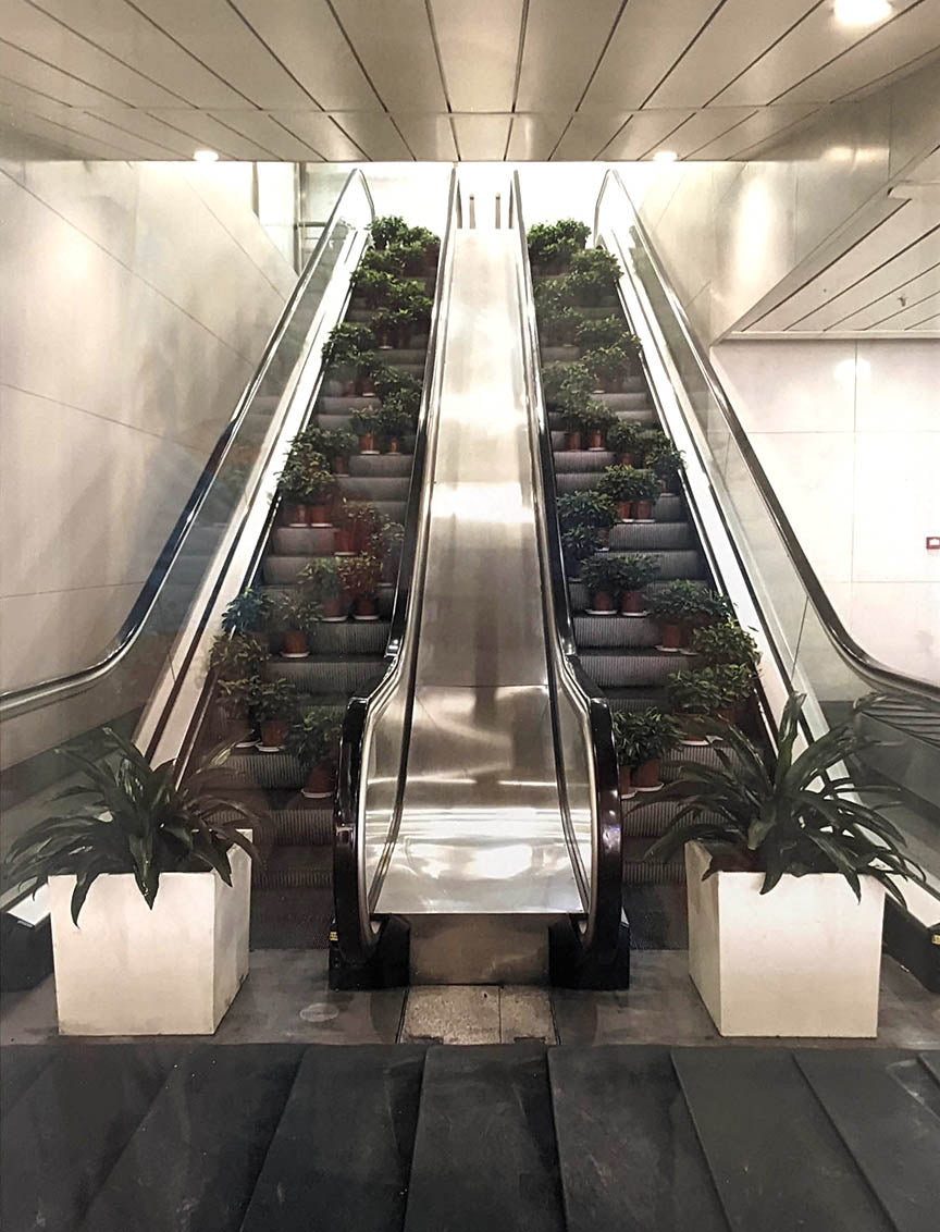 Katrina Leigh Carter  Be Still And Grow