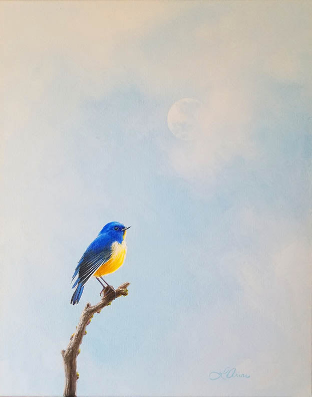 Lori Arias Robin and the Daytime Moon.