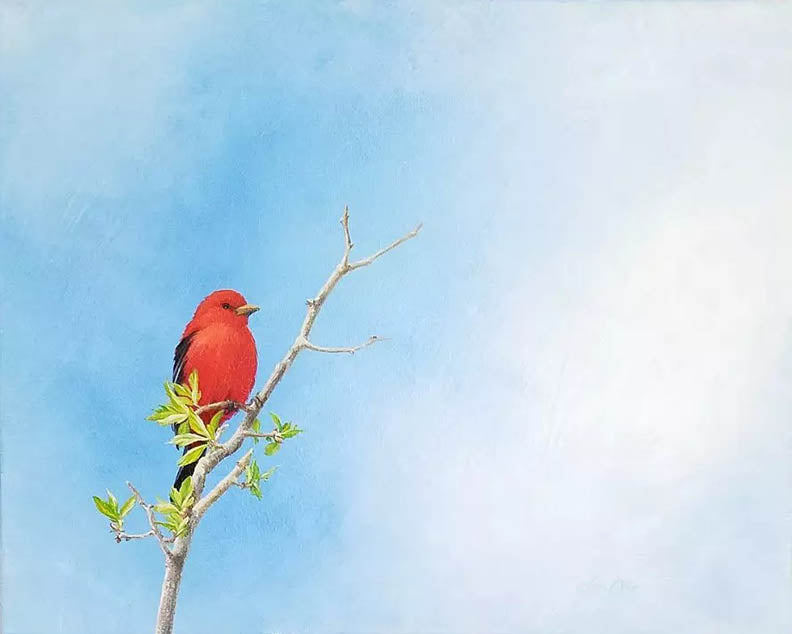 Lori Arias. Scarlet,