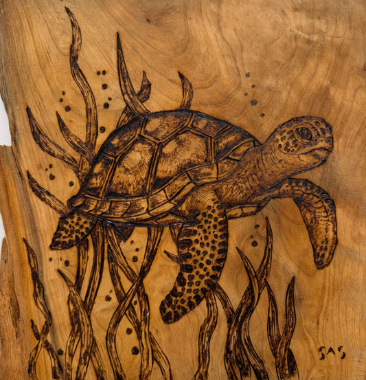 Corrine Sheldrake THE BIG BLUE Nature and coastal life beautifully burned into wood. 12x12 Inches.