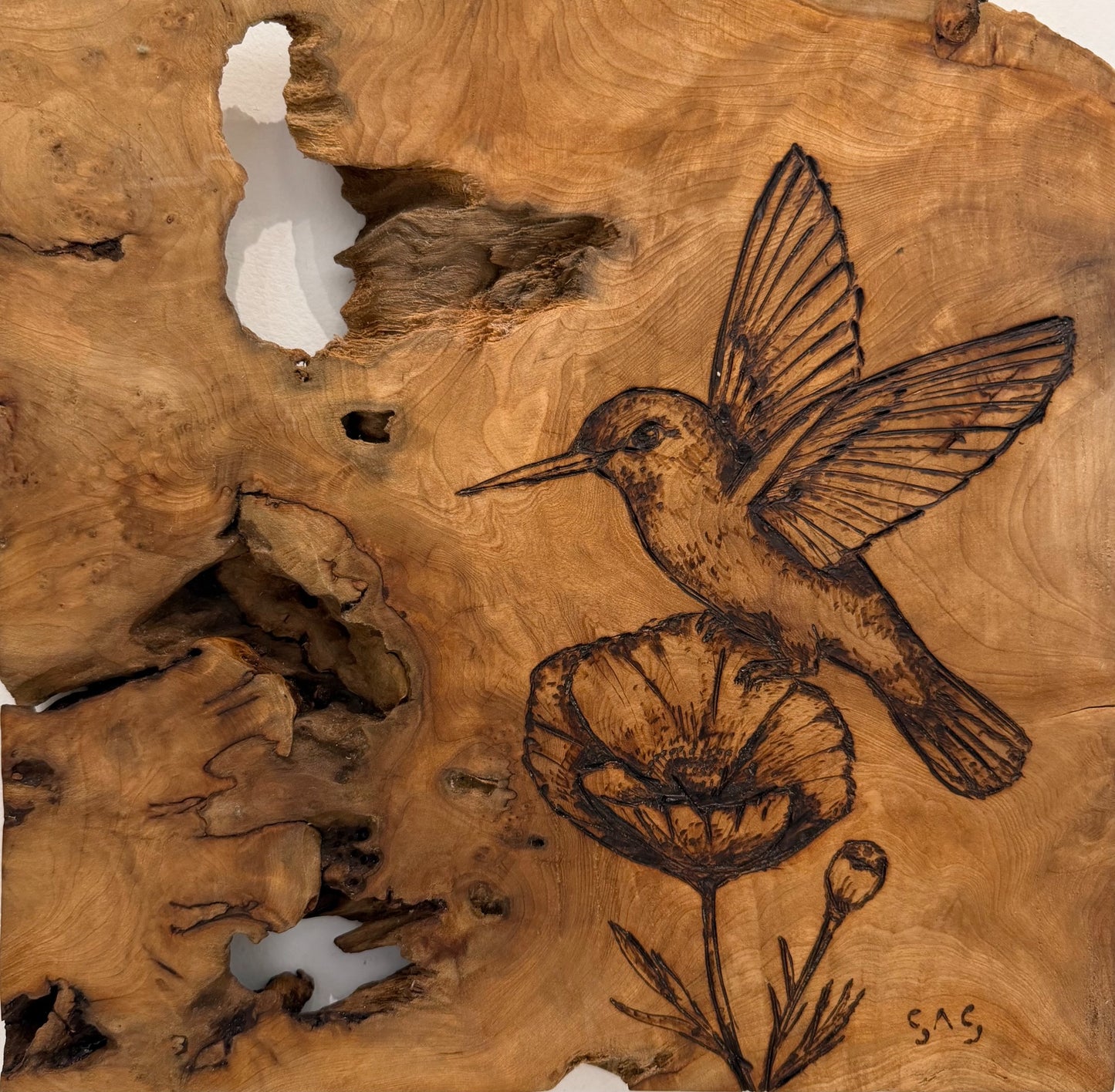 Corrine Sheldrake THE GARDEN Nature and coastal life beautifully burned into wood. 12x12 Inches.
