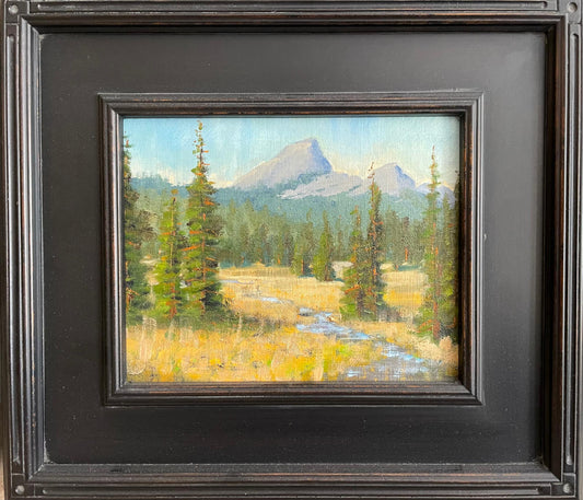 Craig Schub TUOLUMNE MEADOWS  8x10 Oil Inches on Canvas board.