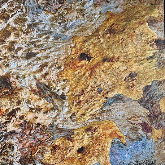 Rebecca  Randall LAGUNA DIAMOND 1 Photography 25X25 Inches.