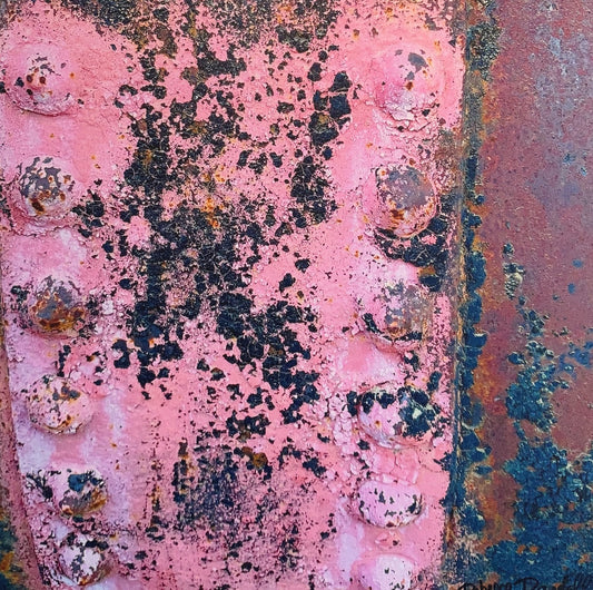 Rebecca  Randall PINK RUST Photography 20X20 Inches.