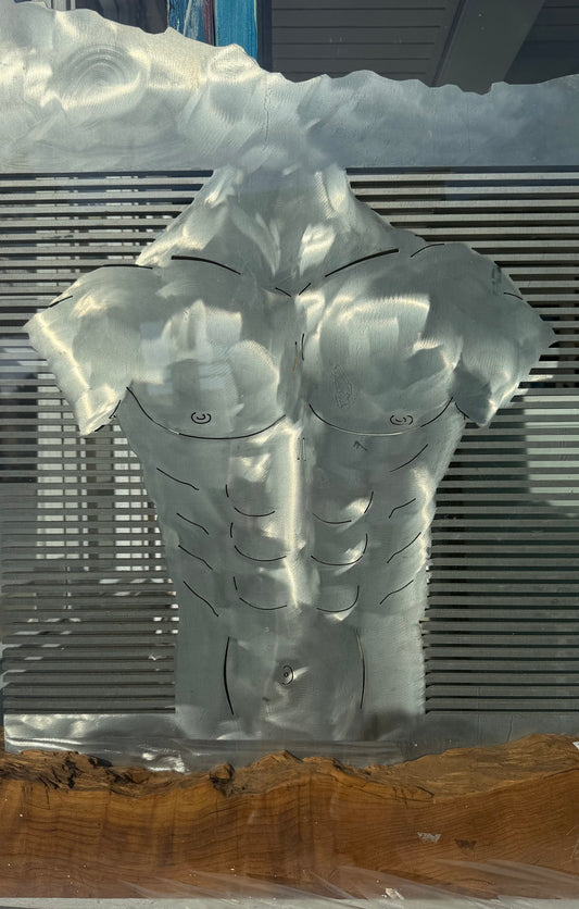 Ron Taybi MALE TORSO Aluminum 23X34 INCHES.