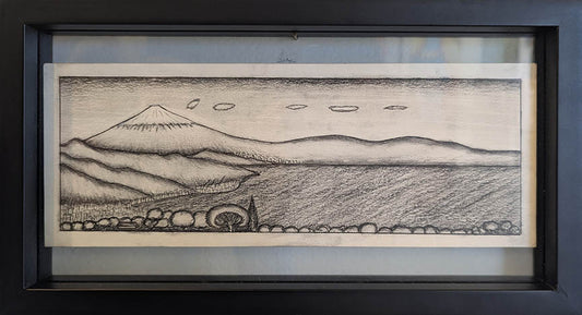 Spencer Wile 1 Charcoal on Bristol Vellum 7X13 inches.